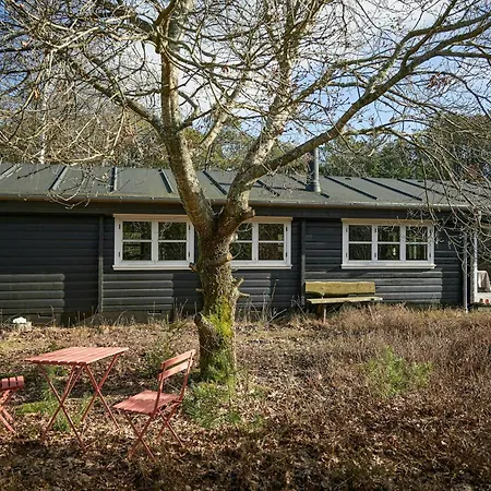 Cozy Gem Near Tversted Plantage