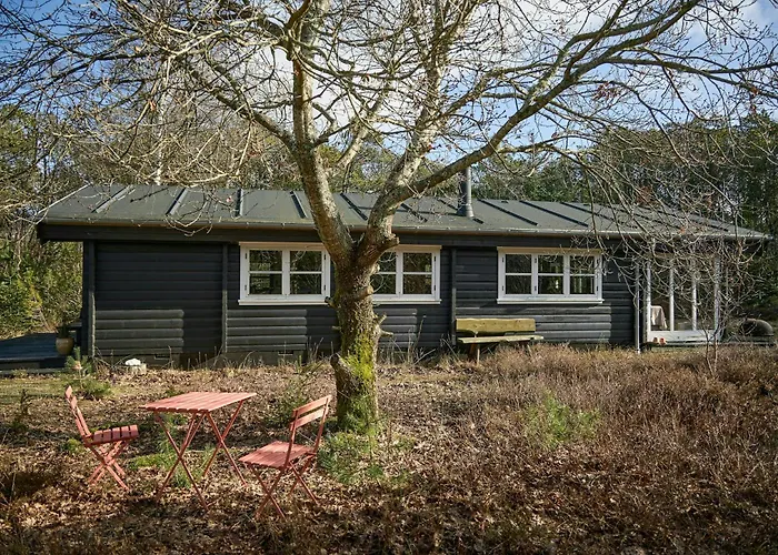 Cozy Gem Near Tversted Plantage